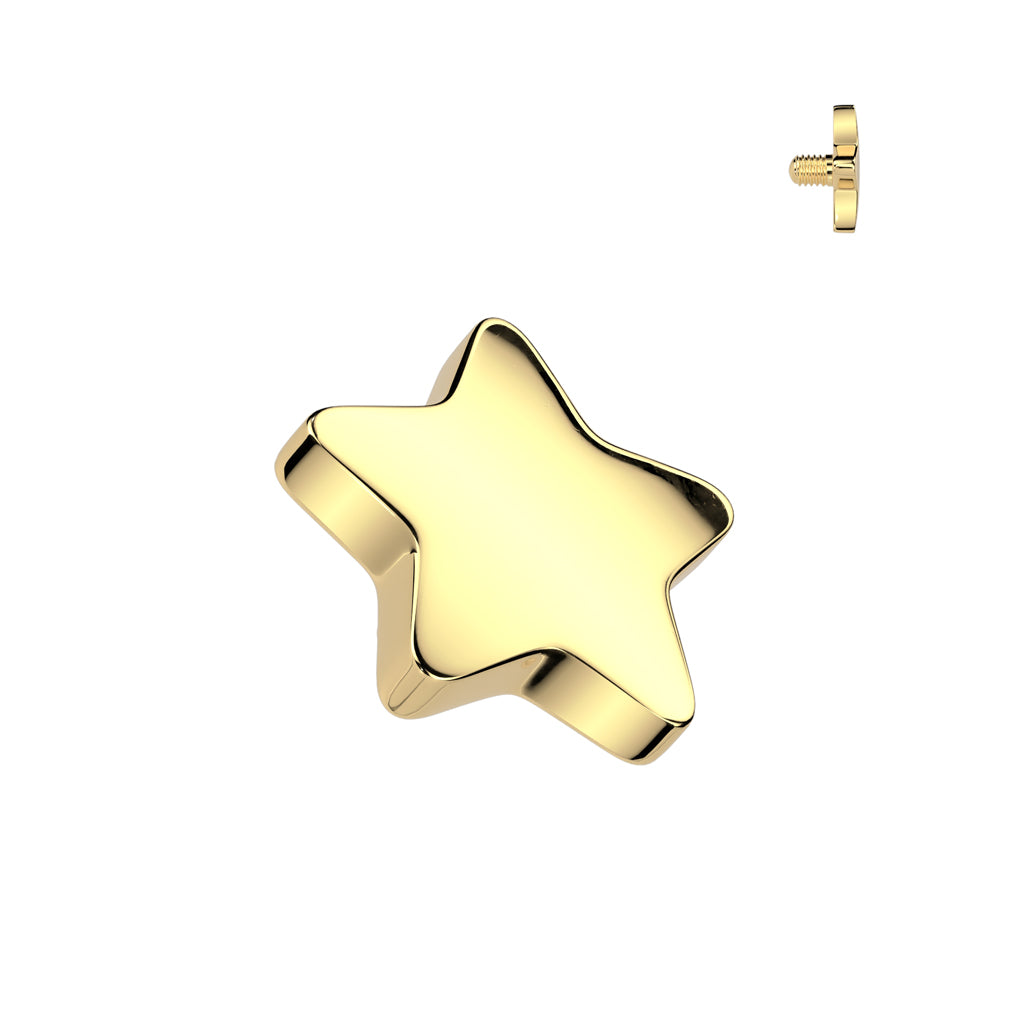 Implant Grade Titanium Internally Threaded Flat Star Top